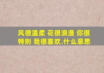 风很温柔 花很浪漫 你很特别 我很喜欢.什么意思